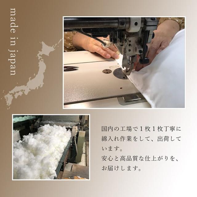 座布団 約55×59cm 2枚組 銘仙判 しじら 日本製 綿100% 和柄ゆかり 座布団 送料無料-5