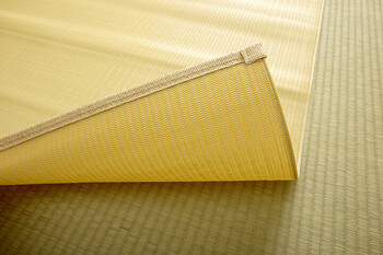 ラグ ピクニックラグ 江戸間1畳(約87×174cm) 洗える 日本製 国産 アウトドア レジャー アウトドア 和室 シンプル ファーム 送料無料-9