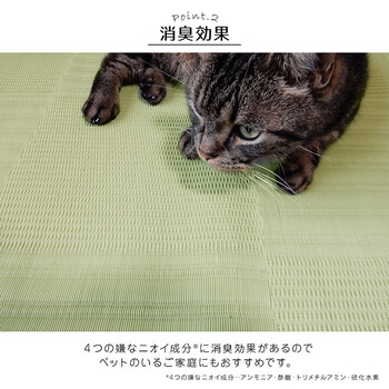 ラグ 洗える カーペット 江戸間4.5畳(約261×261cm)　日本製 国産 抗菌 防臭 消臭 アウトドア リリーフ 送料無料-1