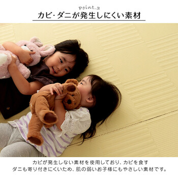 ラグ 洗える カーペット 江戸間4.5畳(約261×261cm)　日本製 国産 抗菌 防臭 消臭 アウトドア リリーフ 送料無料-3