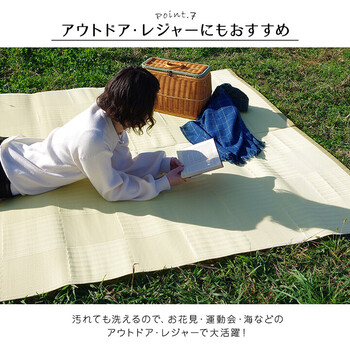 ラグ 洗える カーペット 江戸間4.5畳(約261×261cm)　日本製 国産 抗菌 防臭 消臭 アウトドア リリーフ 送料無料-6