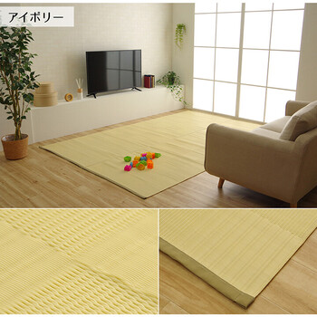 ラグ 洗える カーペット 江戸間4.5畳(約261×261cm)　日本製 国産 抗菌 防臭 消臭 アウトドア リリーフ 送料無料-8
