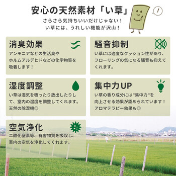 ラグ 水をはじくい草コンパクトラグ 約180×240cm 裏貼有 滑りにくい加工付き キハチ ブルー 送料無料-6