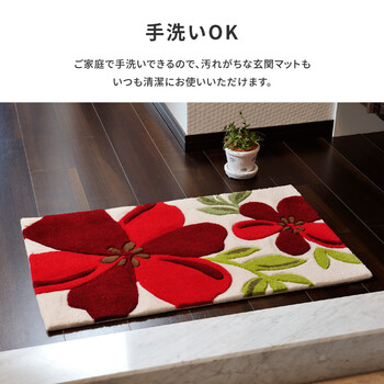 玄関マット 屋内 約50×80cm 洗える 滑りにくい加工付き アベル 送料無料-4