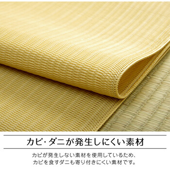 ラグ ピクニックラグ 江戸間3畳(約174×261cm) 洗える 日本製 国産 アウトドア レジャー アウトドア 和室 シンプル ファーム 送料無料-4