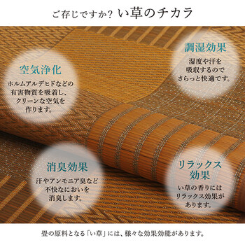 ラグ い草 約191×250cm 国産 純国産 日本製 モダン 抗菌防臭 自然素材 パッチワーク 不織布 DX京刺子 送料無料-4
