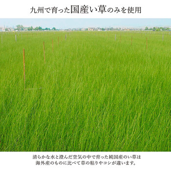 ラグ い草 江戸間4.5畳(約261×261cm) 国産 純国産 日本製 モダン 抗菌防臭 自然素材 パッチワーク 京刺子 送料無料-4