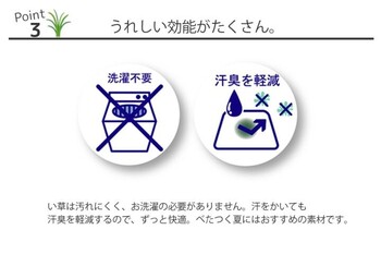 枕 まくら い草枕 消臭 ピロー 国産 約30×15cm 中材 パイプ おとこの枕 角枕 送料無料-2