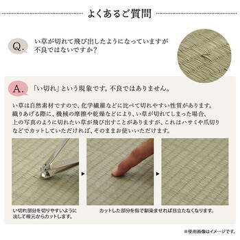 敷物 花ござ 江戸間4.5畳(約261×261cm)国産 純国産 日本製 い草 掛川織 モダン 抗菌防臭 自然素材 大自然 送料無料-9