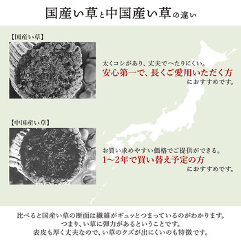 敷物 花ござ 江戸間4.5畳(約261×261cm)国産 純国産 日本製 い草 掛川織 モダン 抗菌防臭 自然素材 大自然 送料無料-1