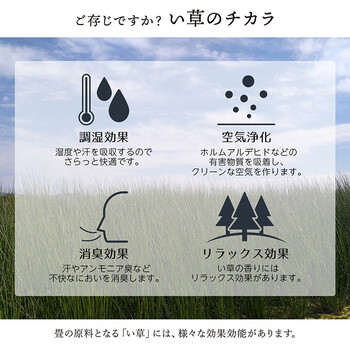 敷物 花ござ 江戸間4.5畳(約261×261cm)国産 純国産 日本製 い草 掛川織 モダン 抗菌防臭 自然素材 大自然 送料無料-2
