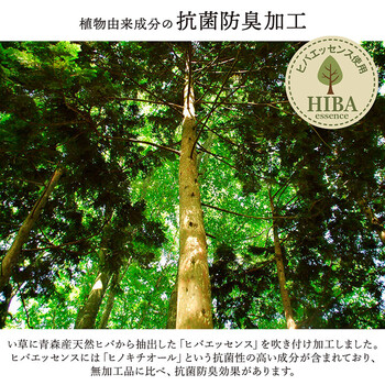 敷物 花ござ 江戸間4.5畳(約261×261cm)国産 純国産 日本製 い草 掛川織 モダン 抗菌防臭 自然素材 大自然 送料無料-3