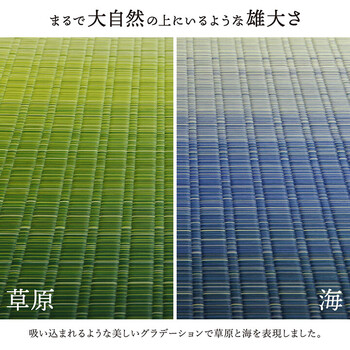 敷物 花ござ 江戸間4.5畳(約261×261cm)国産 純国産 日本製 い草 掛川織 モダン 抗菌防臭 自然素材 大自然 送料無料-4