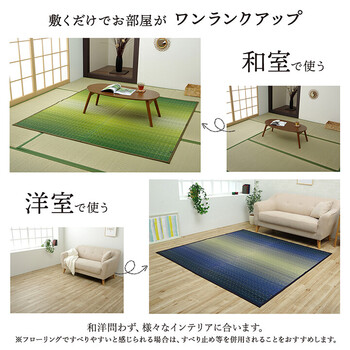 敷物 花ござ 江戸間4.5畳(約261×261cm)国産 純国産 日本製 い草 掛川織 モダン 抗菌防臭 自然素材 大自然 送料無料-5