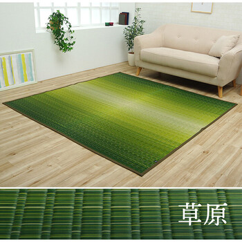 敷物 花ござ 江戸間6畳(約261×352cm) 国産 純国産 日本製 い草 掛川織 モダン 抗菌防臭 自然素材 大自然 送料無料-7