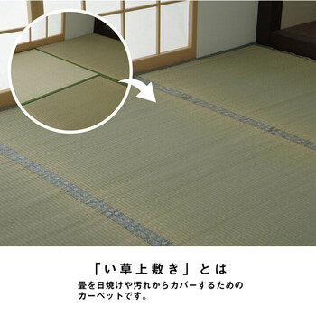 カーペット い草 上敷き カーペット 江戸間6畳(約261×352cm) 制菌 抗菌防臭 消臭 小林製薬KOBA-GUARD コバガード上敷 送料無料-0