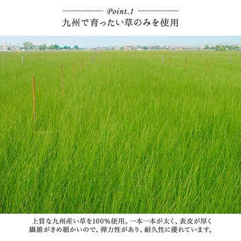 キッチンマット 約60×180cm い草 国産 汚れにくい ウレタン カジュアル フルーツ デザート キッチンマット 送料無料-2