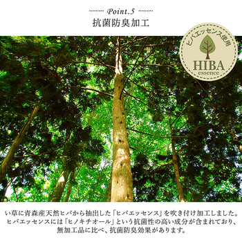 キッチンマット 約60×180cm い草 国産 汚れにくい ウレタン カジュアル フルーツ デザート キッチンマット 送料無料-6