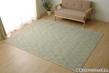 ラグ カーペット 約140×200cm 無地 シンプル バンブー 竹 DXフォース 送料無料-8