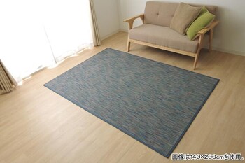 ラグ カーペット 約190×190cm 無地 シンプル バンブー 竹 DXフォース 送料無料-9