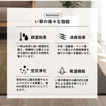 ラグ マット 約190×190cm 小林製薬 持続性抗菌剤 制菌 抗菌防臭 滑り止め 不織布 夏 い草 NCXクリア 送料無料-4