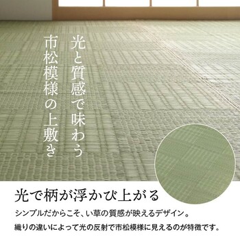 カーペット 純国産 い草 本間6畳(約286×382cm) 上敷き カーペット 格子柄 グラッセ 送料無料-0