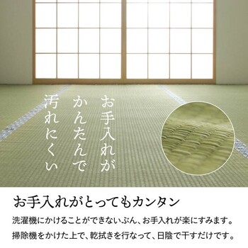 カーペット 純国産 い草 江戸間4.5畳(約261×261cm) 上敷き 上質ない草で作った カーペット 双目織 白浜 送料無料-3