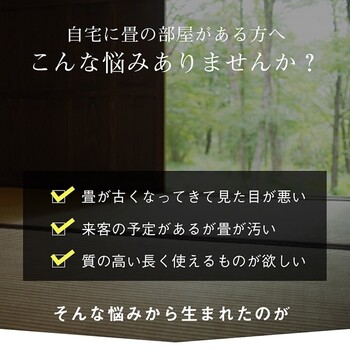 カーペット 純国産 い草 三六間3畳(約182×273cm) 上敷き はっ水 カーペット 双目織 撥水ほほえみ 送料無料-0