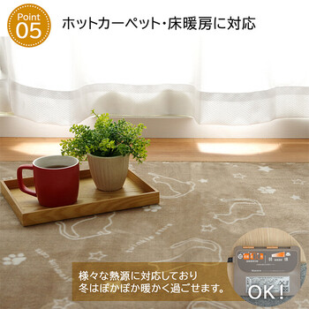 ラグ ブラウン約100×140cm楕円 カーペット洗える アニマル柄 キャット ツインクルキャット 送料無料-5