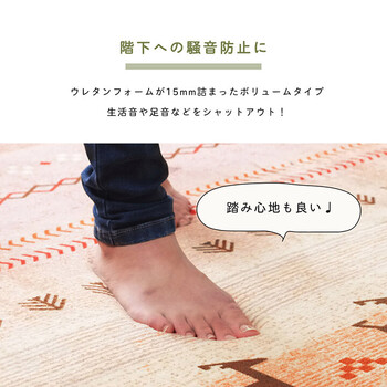 ラグ 約200×250cm 洗える ギャベ 防音 ホットカーペット対応 DXラディ 送料無料-3