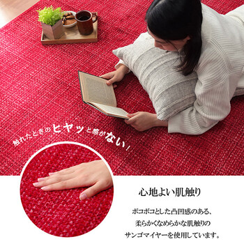 カーペット 約185×185cm マット 珊瑚マイヤ 洗える 滑りにくい ノート 送料無料-0