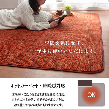 カーペット 約185×185cm マット 珊瑚マイヤ 洗える 滑りにくい ノート 送料無料-2