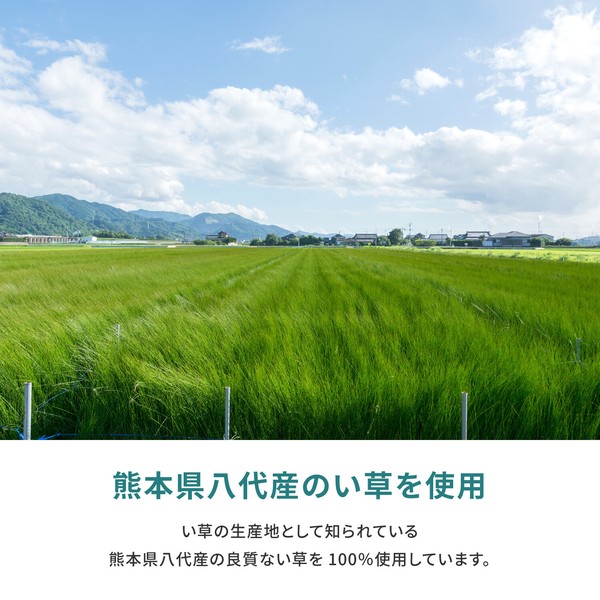 い草 純国産上敷き 江戸間3畳 双目織 天草 あまくさ 送料無料-2