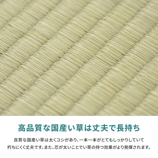 い草 純国産上敷き 江戸間3畳 双目織 天草 あまくさ 送料無料-3