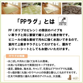 ラグ い草風 PPラグ 江戸間3畳 水洗いOK 矢倉 グレー 送料無料-1
