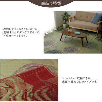 カーペット 純国産 い草花ござカーペット 約江戸間6畳 ラビアンス 送料無料-2