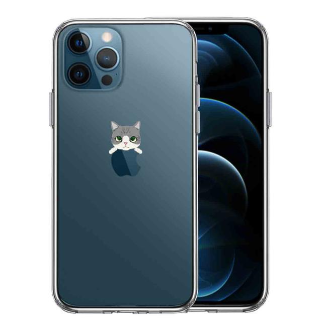 iPhone12Pro ケース クリア のっかり ネコ サバトラ スマホケース 側面ソフト 背面ハード ハイブリッド 送料無料-0