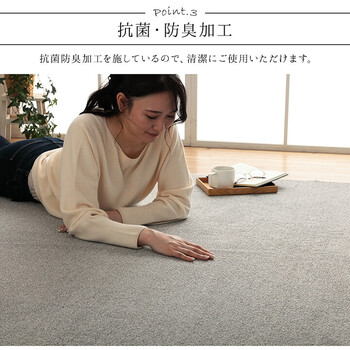 ラグ 約190×240cm 手洗い ループパイル 抗菌防臭 オーバーロック 滑りにくい加工 床暖房 クレイド 送料無料-4