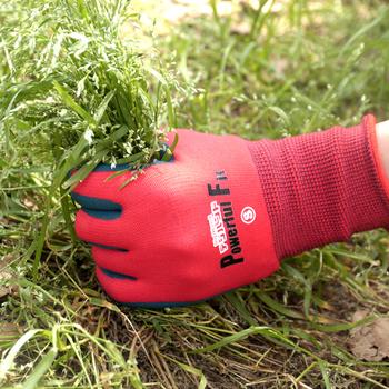 デジハンドパワフルフィットＭレッド 12個セット 送料無料 即日発送-1