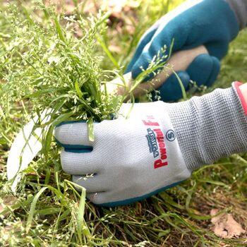 デジハンドパワフルフィットMグレー 12個セット 送料無料 即日発送-2