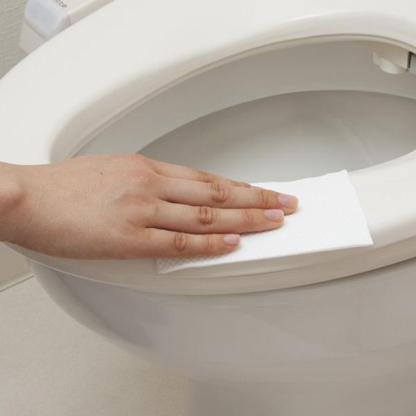 流せる除菌トイレクリーナー２４枚 18個セット 送料無料 即日発送-1