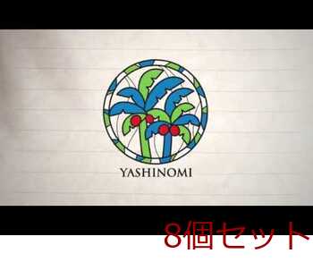 ヤシノミ洗剤 プレミアムパワー 濃縮タイプ 詰替用 540mL 8個セット 送料無料-2