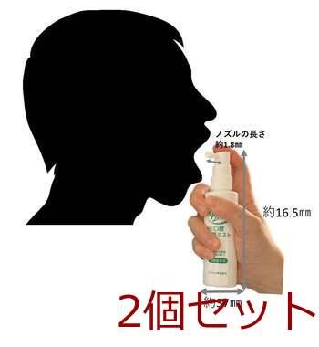 クリンスマイル 薬用 口腔保湿ミスト 70mL うるおうハニーレモン 70mL 2個セット 送料無料-3