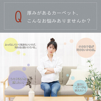 ラグカバー カバー 約193×243cm 撥水 ふっくら敷カバー 撥水モデルノ 送料無料-0