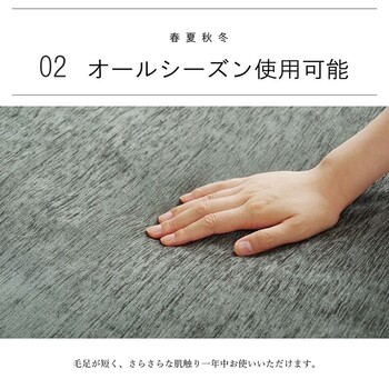 ラグカバー カバー 約193×243cm 撥水 ふっくら敷カバー 撥水モデルノ 送料無料-2