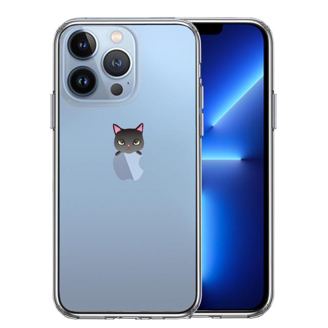 iPhone13Pro ケース クリアのっかり ネコ 1 スマホケース 側面ソフト 背面ハード ハイブリッド 送料無料-0
