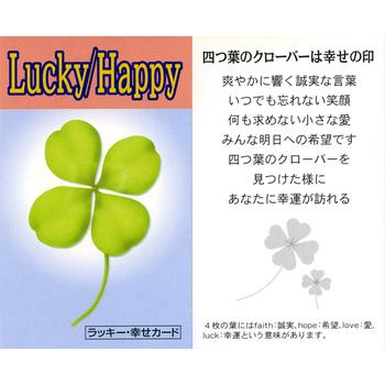 天使の羽ラッキーリング ラッキー 幸せカード付き  送料無料-3
