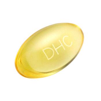 ＤＨＣ ＤＨＡ ６０日分 ２４０粒入 送料無料-2