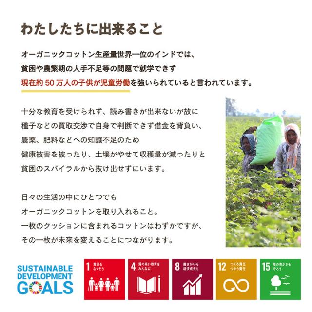 クッション 約40×40cm　持ち運び 日本製 オーガニックコットン 綿100% 無地 洗える 座布団 クララ BOXクッション 送料無料-1