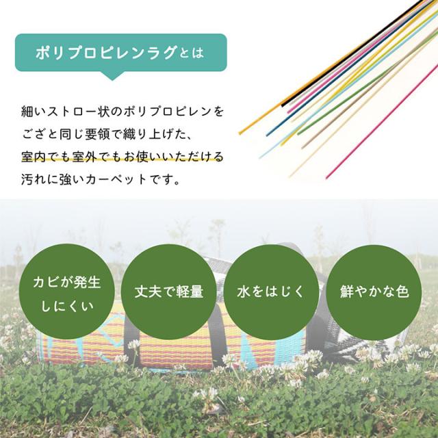 ピクニック 約87×140cm 日本製 洗える レジャー シート アウトドア お手入れ 持ち運び 便利 スルト ワンダ 送料無料-1